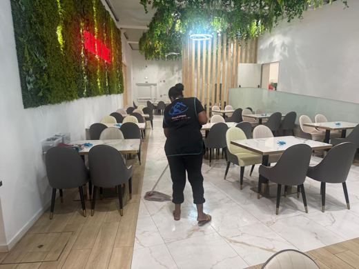 Trabalho de limpeza da GeoLimpa