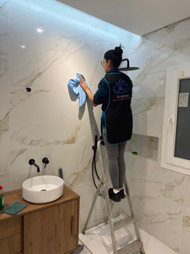Trabalho de limpeza da GeoLimpa